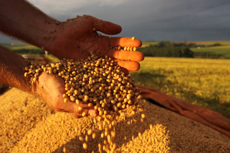 Brasil não deve bater recorde de colheita na safra de soja