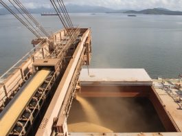 A Companhia Nacional de Abastecimento (Conab) afirma que a capacidade de escoamento de grãos pelos portos deve se esgotar até 2025, no Brasil.